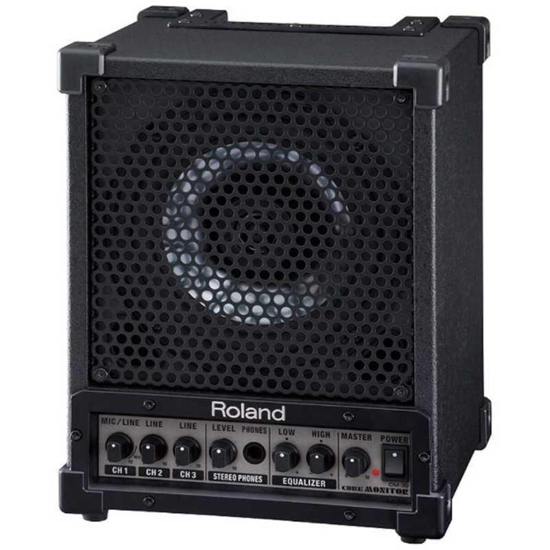 ローランド（Roland） Roland 2ウェイ モニター・アンプ(1台) CM-30 