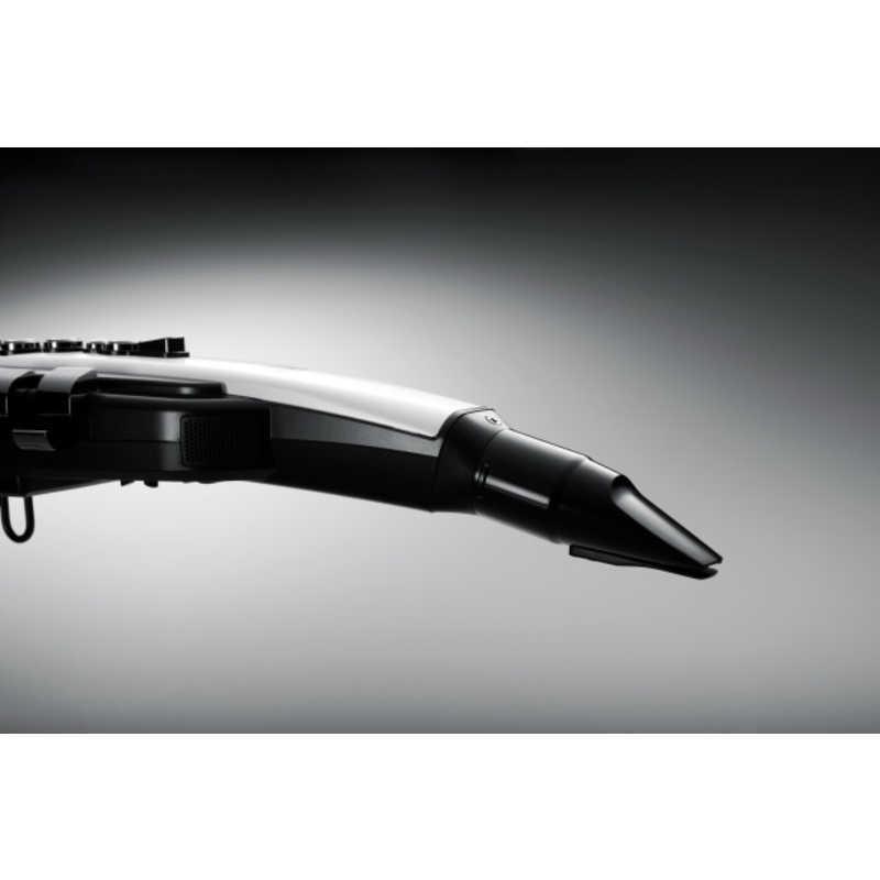 ローランド Roland 電子管楽器 Aerophone(エアロフォン)  Roland  AE-20の画像