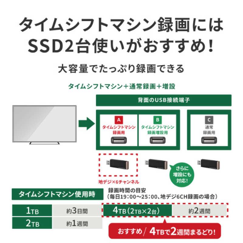 IOデータ 録画用スティックSSD ［1TB /ポータブル型］ AVSSD-RS1