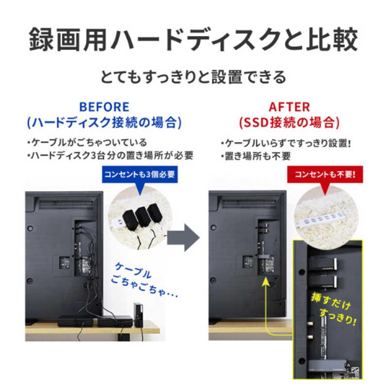 IOデータ 録画用スティックSSD ［1TB /ポータブル型］ AVSSD-RS1