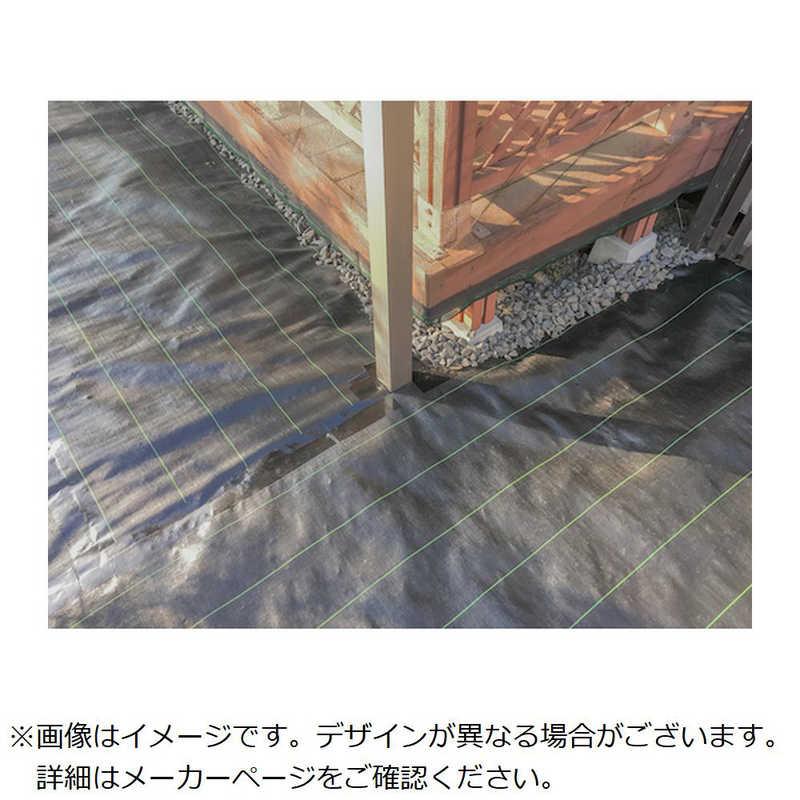 直筆サイン入り アリス 望月しいな先生オーロラアート