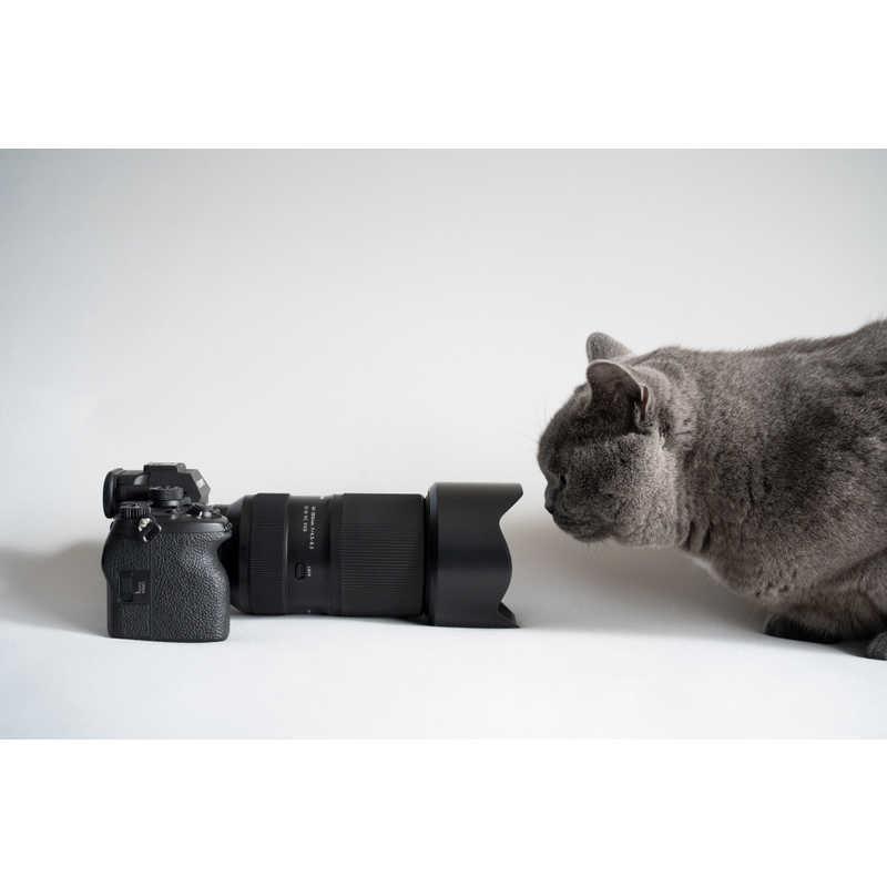 タムロン カメラレンズ (ソニーE用/フルサイズ対応) 50-300mm F4.5-6.3