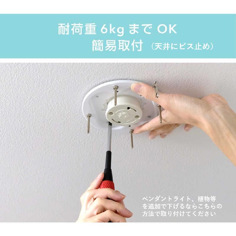 瀧住 ライティングレール TDR20025の画像