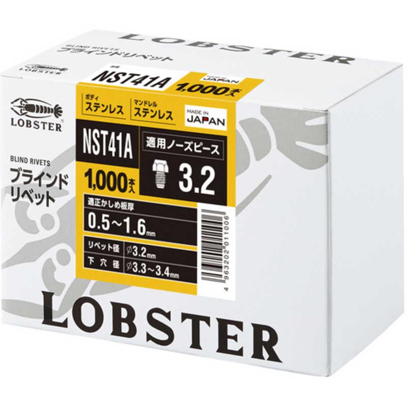 ロブテックス　ブラインドリベット ステンレス/ステンレスセイ 4-1(　NST41A_2