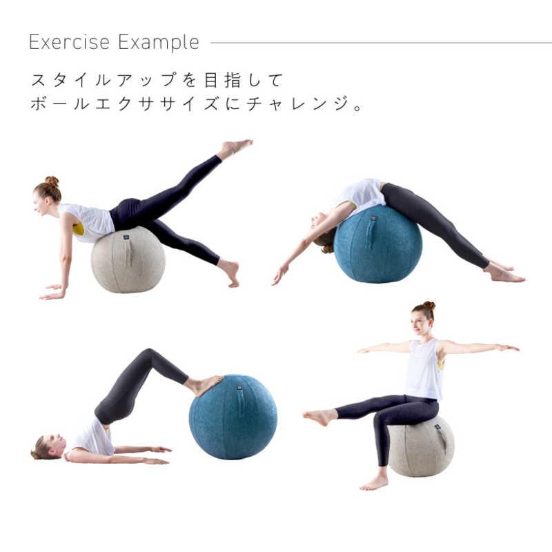 【美品】＆MEICAL バランスボールチェア Amazon.co.jp: バランスボールチェア - バランスボール・アクセサリ
