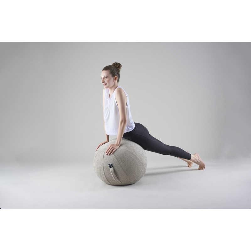 ALINCO（アルインコ） バランスボール シェリア(55cm/) サンドベージュ