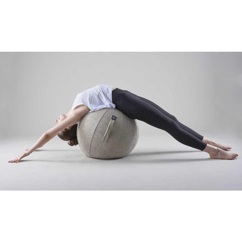 ALINCO（アルインコ） バランスボール シェリア(55cm/) サンドベージュ