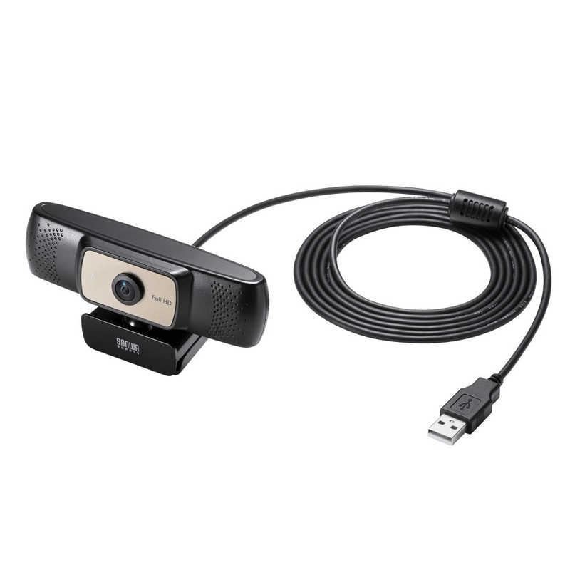 SANWA SUPPLY（サンワサプライ） ウェブカメラ USB-A接続 耐高温 