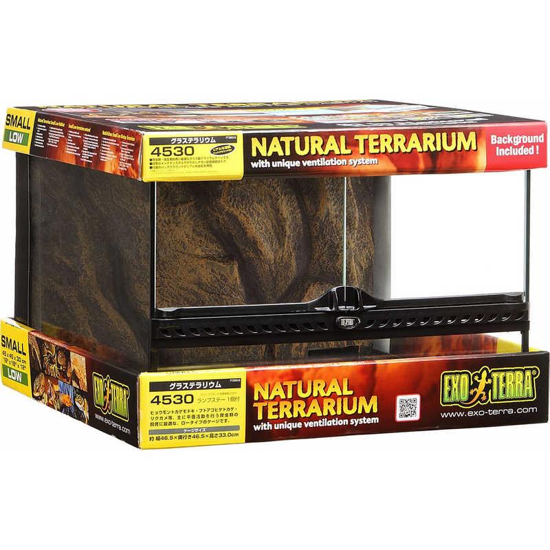 ジェックス　エキゾテラ グラステラリウム 4530 PT2603　 の商品画像