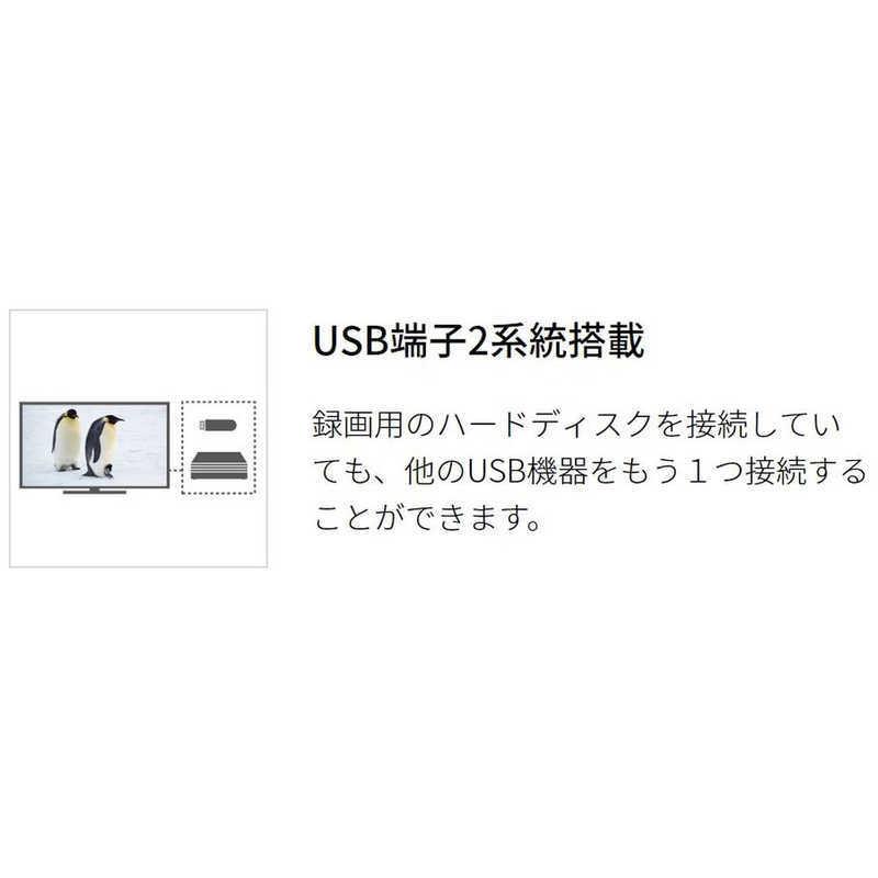 シャープ SHARP 22V型液晶テレビ AQUOS (アクオス) 2T-C22DEW|コジマ|05