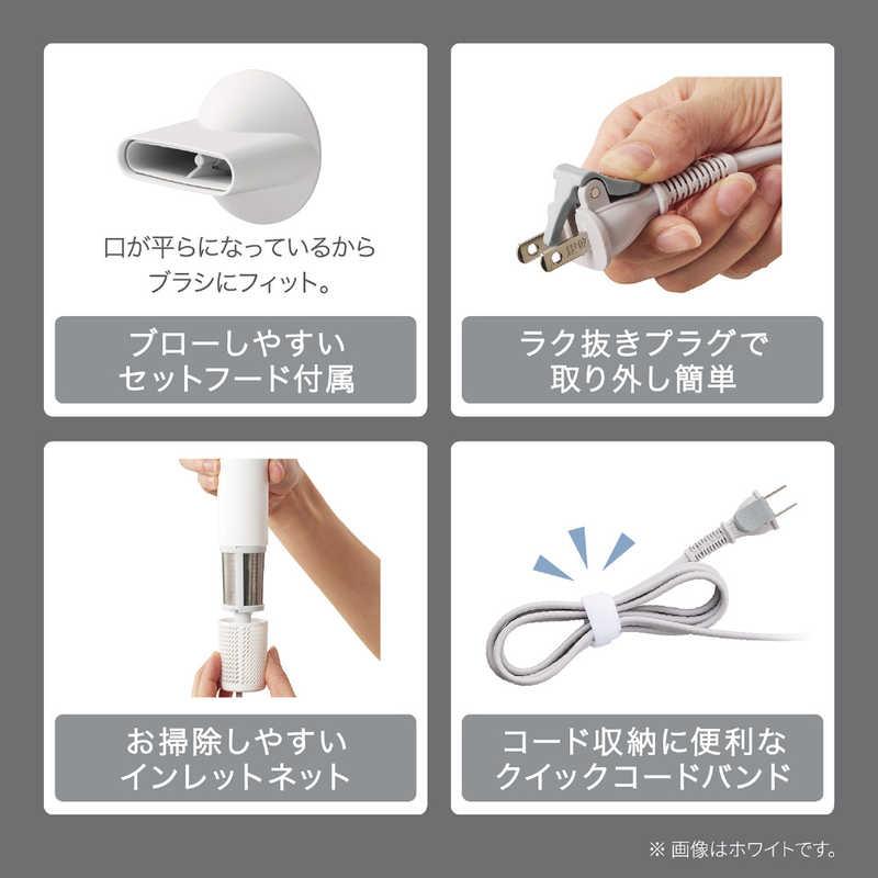 テスコム（TESCOM） マイナスイオン ヘアドライヤー ベージュ TD760A-C