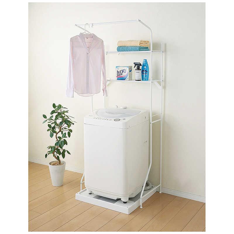 洋書〉アブラナ属作物と野生の仲間：生物学と育種／編＝角田