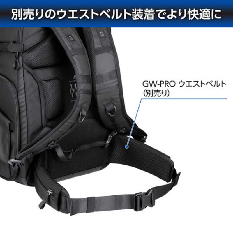 ハクバ　GW-ADVANCE タンク フェイスゲートバックパック17 ブラック　SGWATK-FGBP17の画像
