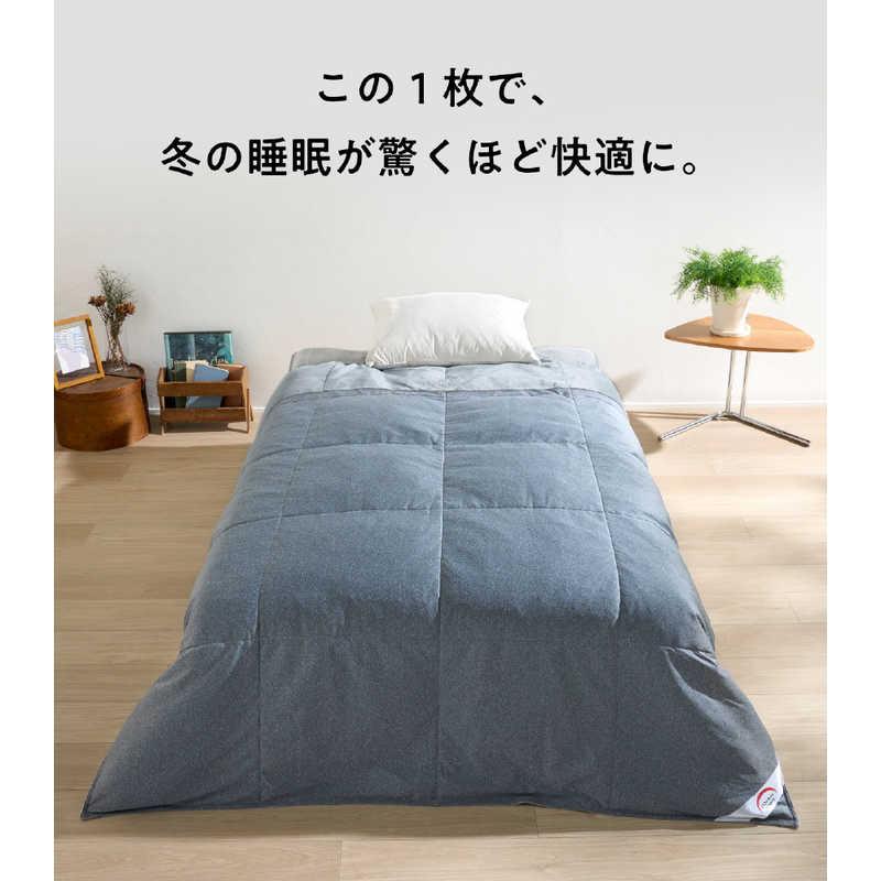 モリリン コスモダウン掛けふとん プラチナシルバー ［ダブル(190