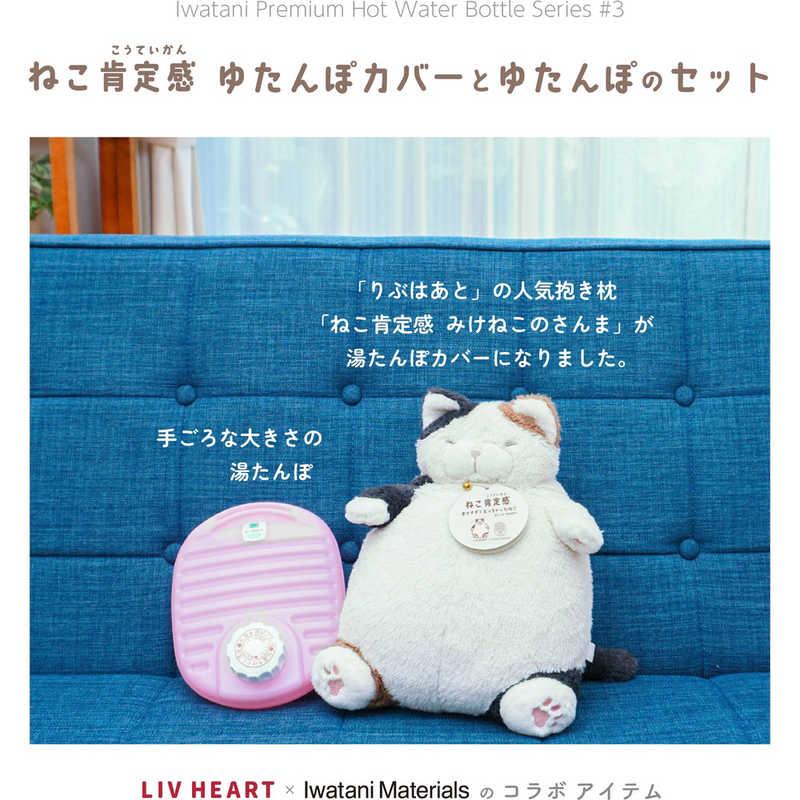岩谷マテリアル ねこ肯定感 湯たんぽ カバーと湯たんぽのセット