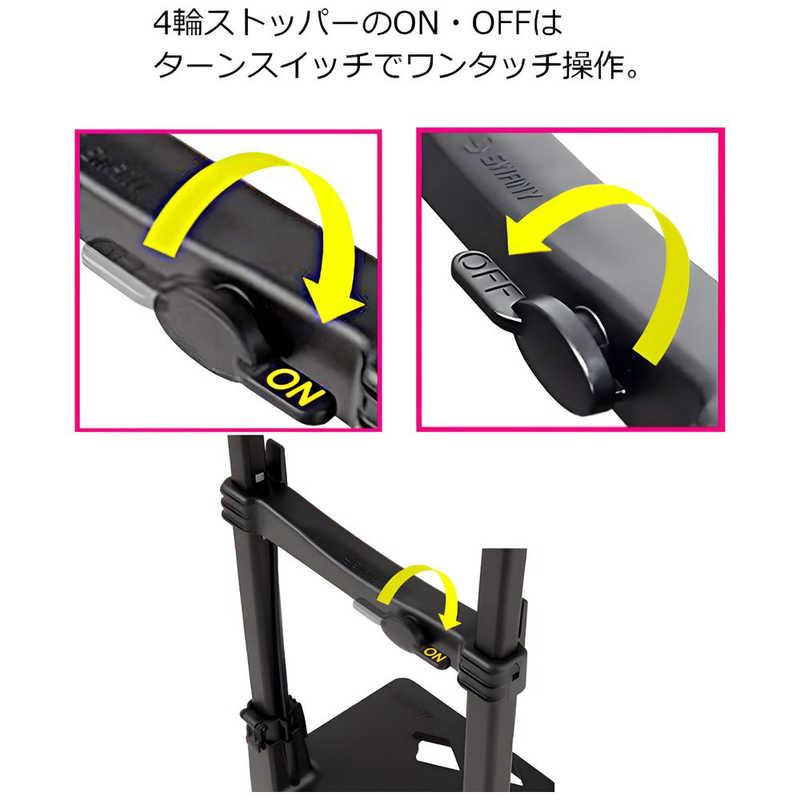 スワニー　ブリル お買い物キャリー 日帰り〜1泊 13L ブラウン　63131の画像