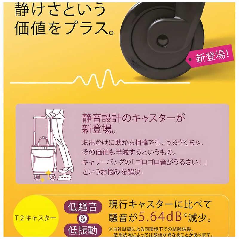 スワニー　ブリル お買い物キャリー 日帰り〜1泊 13L ブラウン　63131の画像