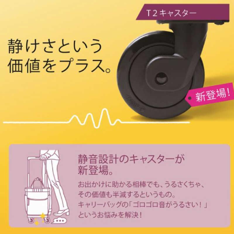 スワニー　D-640 ルバンド お買い物キャリー Mサイズ ルバンド グレー　64081の画像