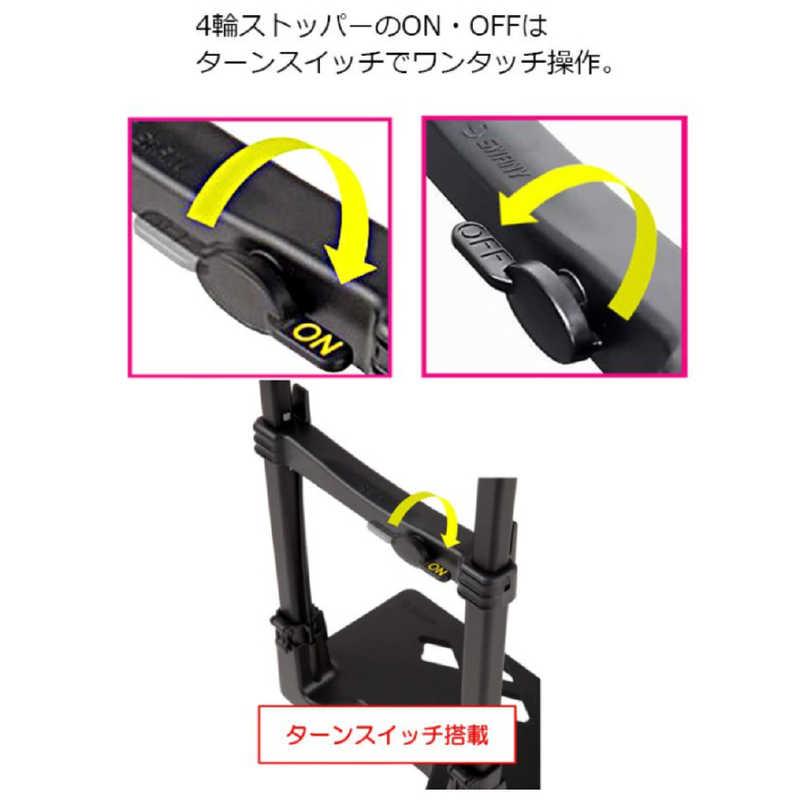 スワニー　D-640 ルバンド お買い物キャリー Mサイズ ルバンド グレー　64081の画像
