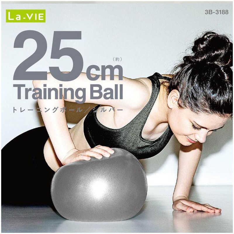 LaVie LAVIE トレーニングボール (25cm シルバー) 3B3188 LaVie LAVIE トレーニングボール (25cm シルバー) 3B3188