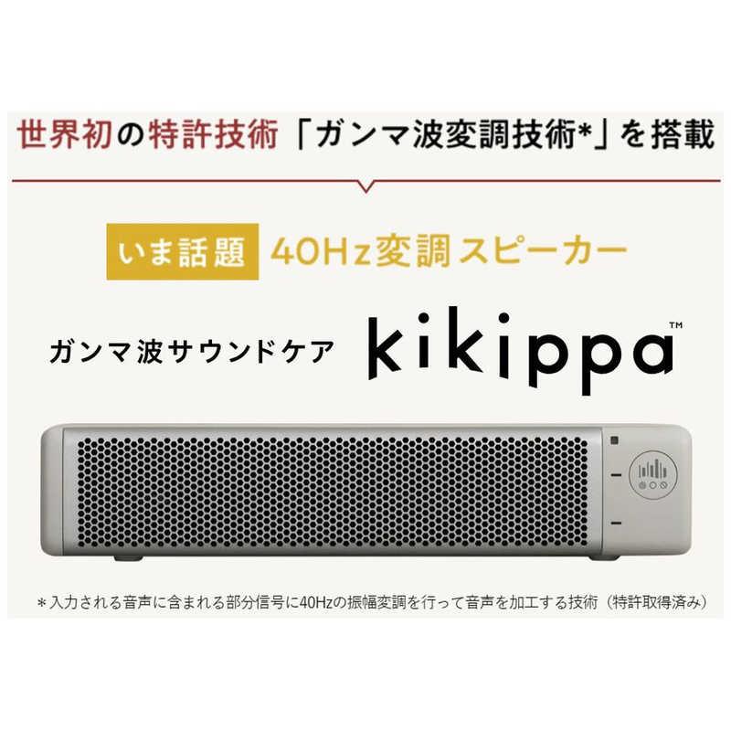 kikippa PDAS001 ガンマ波 サウンドケア 認知症予防 シオノギヘルスケア TVスピーカー ガンマ波サウンドケア「kikippa