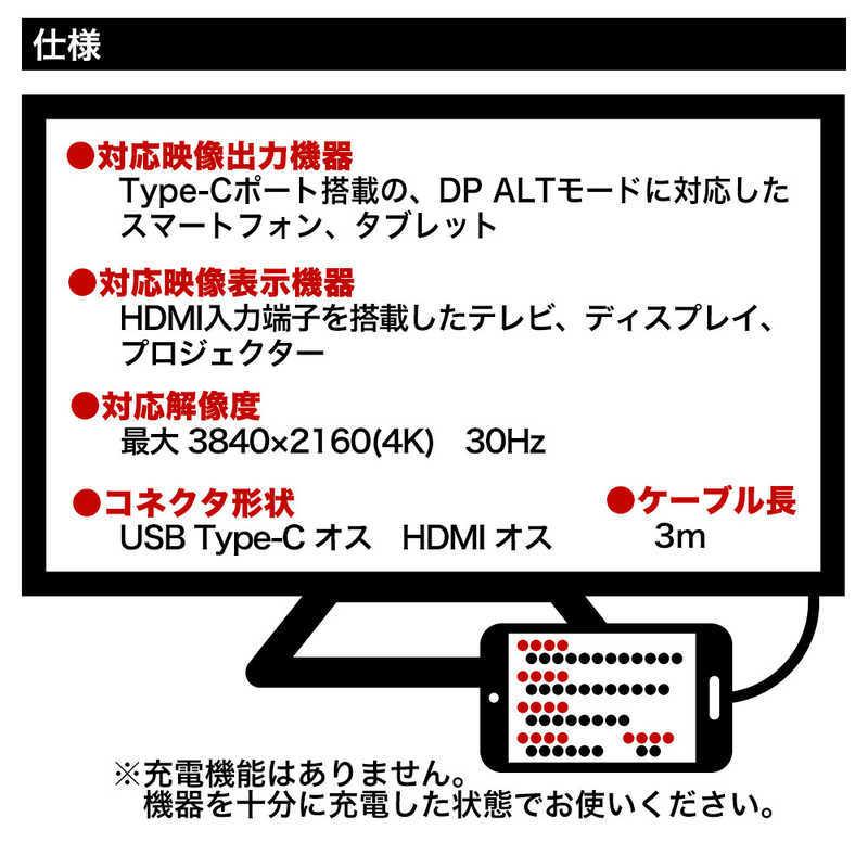 ラスタバナナ　Type-C to HDMIケーブル 3m ブラック　R30CACH01BK｜y-kojima｜05