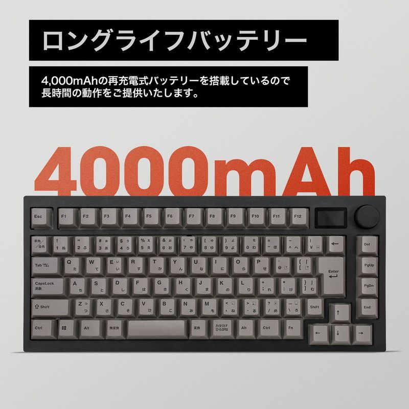 MISTEL キーボード Barocco Mistel MD750 Delight JIS (日本語配列