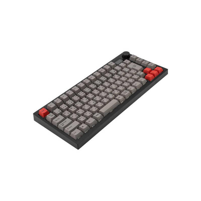 MISTEL キーボード Barocco Mistel MD750 Delight JIS (日本語配列