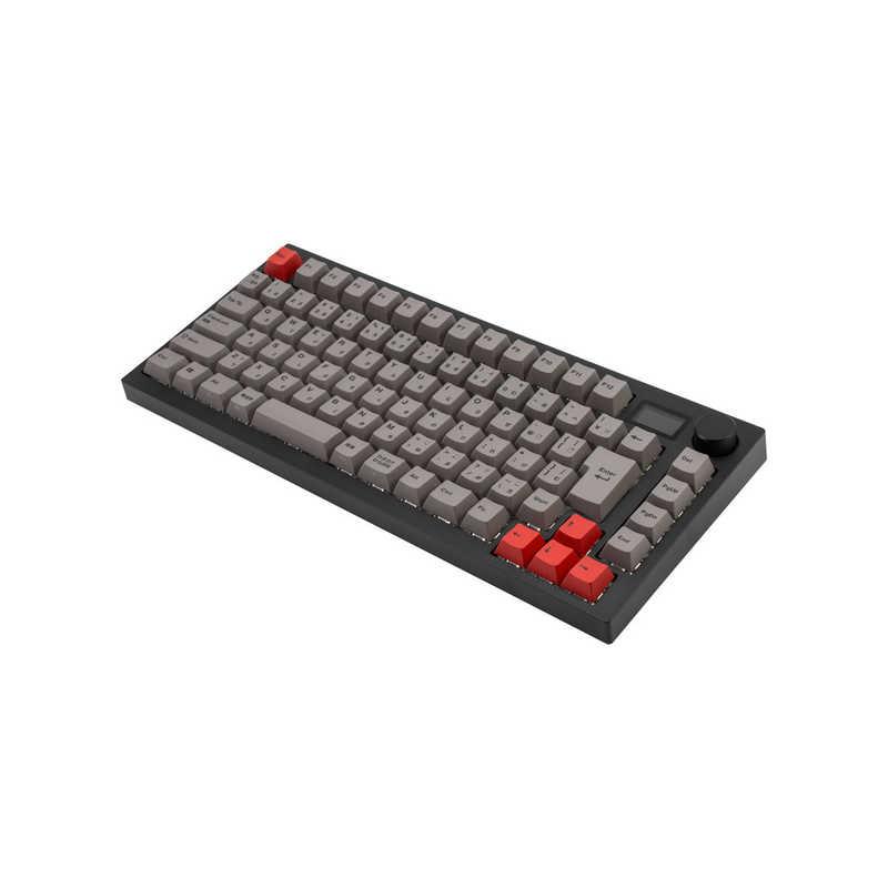 MISTEL キーボード Barocco Mistel MD750 Delight JIS (日本語配列