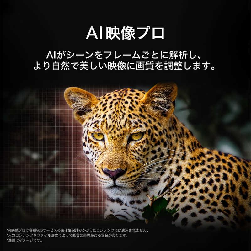 LG 有機ELテレビ ［65V型 / 4K対応 BS 4Kチューナー内蔵 YouTube対応
