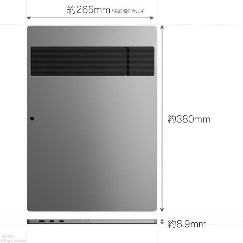 LG USB-C接続モバイルモニター gram ＋view ［17型 /WQXGA(2560×1600