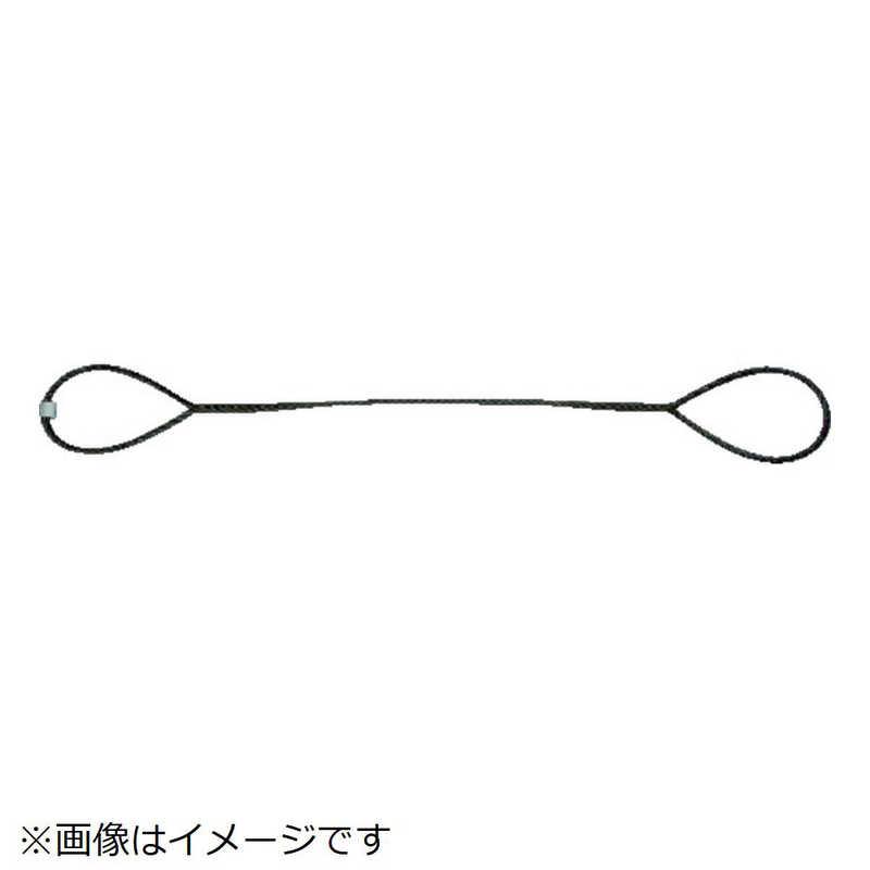 TRUSCO中山 トラスコ中山 玉掛けワイヤーロープ 段落し 14mm×1m
