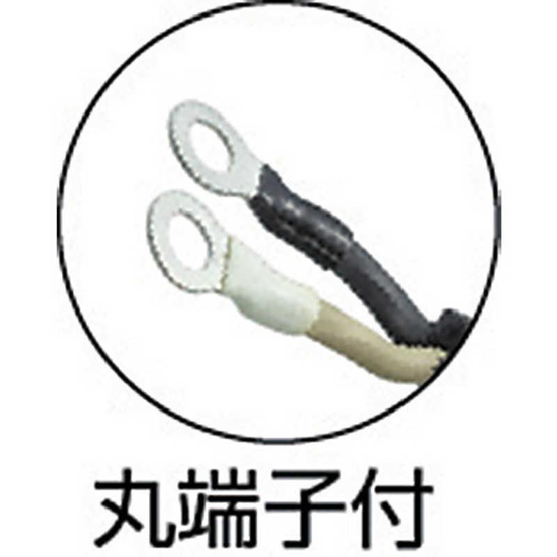 トラスコ中山　溶接機用ケーブル 1次側 10m　TWC5510_1