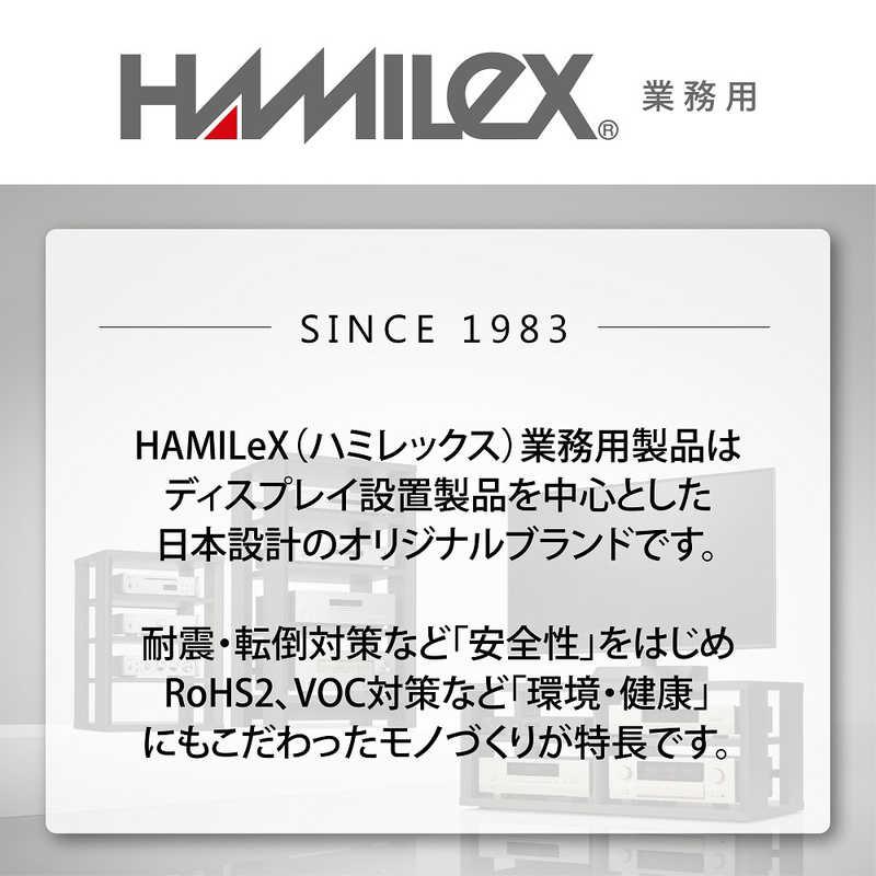 ハヤミ工産　壁掛金具 角度調節タイプ HAMILeX　LH62