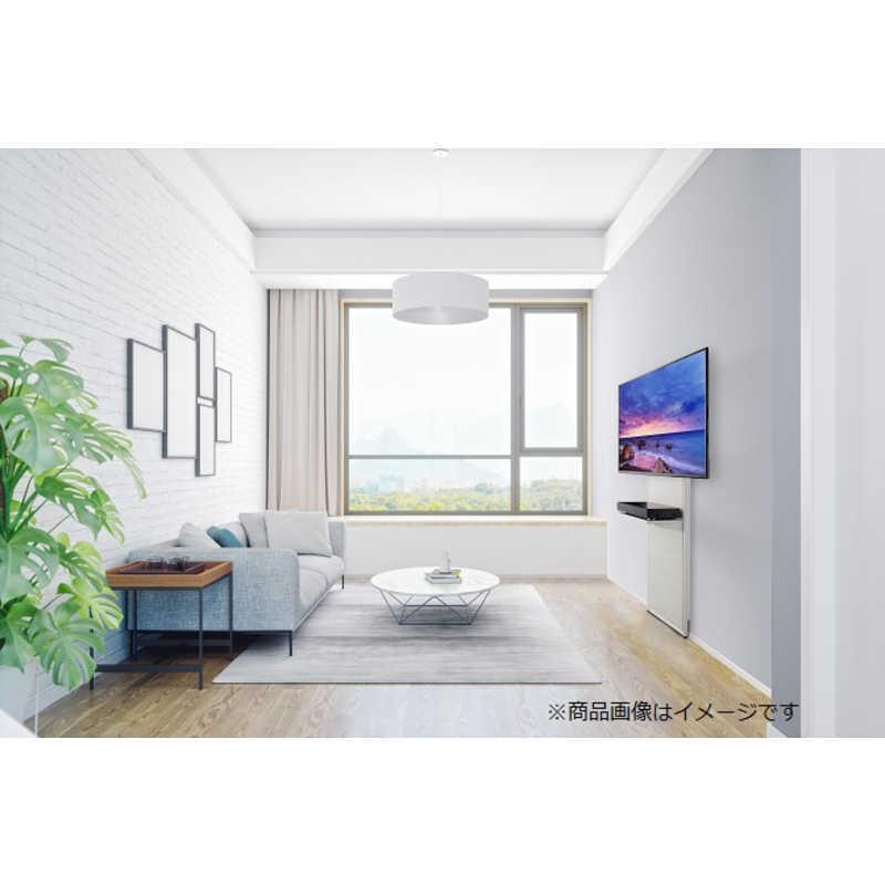 ハヤミ工産 〜65V型対応 壁面スタンド EW-74W : 4991829300142  