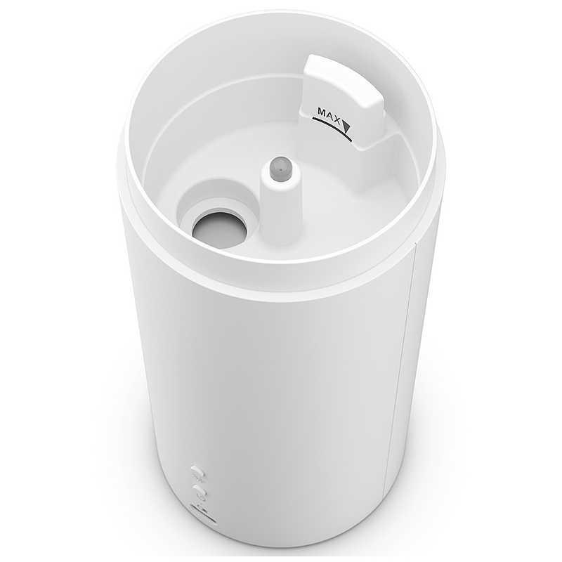 Top【選抜株】多肉植物 19586 カーニバル10個 鉢無し/脱土｜Top【選抜