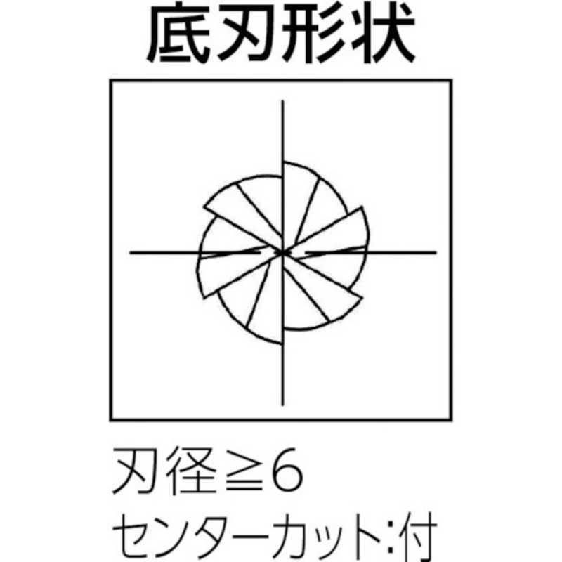 大見工業　高硬度鋼加工用エンドミル　OEHSR0100_1