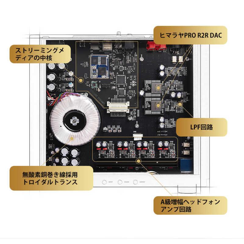 HIFIMAN ヘッドホンアンプ GoldenWave ［DAC機能対応］ SERENADE