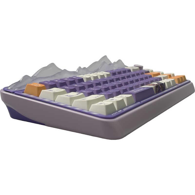 ゲーミングキーボードハードコアガスケット構造アイスロックスイッチオリジナルキャラ AULA ゲーミングキーボード ハードコアガスケット構造 アイスロック
