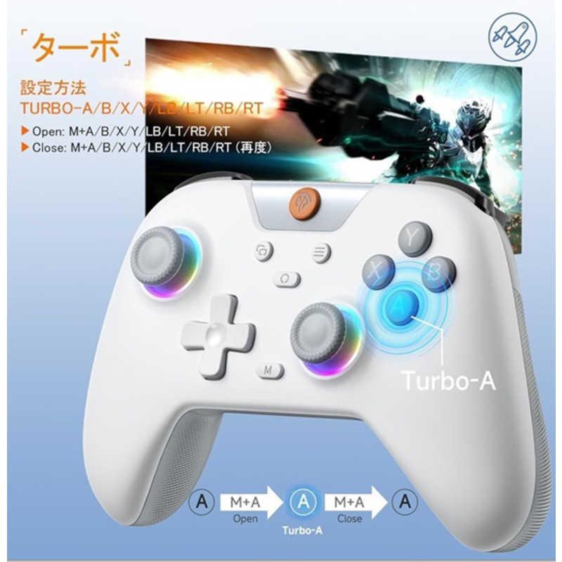 LION HEART GOLD EASYSMX ゲームコントローラー Easy SMX ゲ-ムパッド