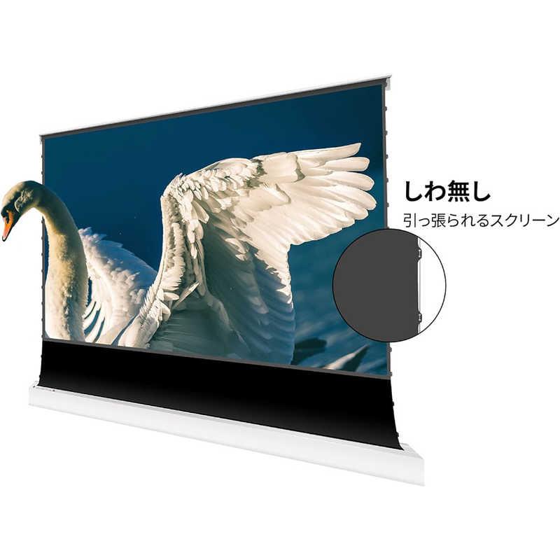 VIVIDSTORM (高輝度レーザープロジェクター用)100インチプロジェクター