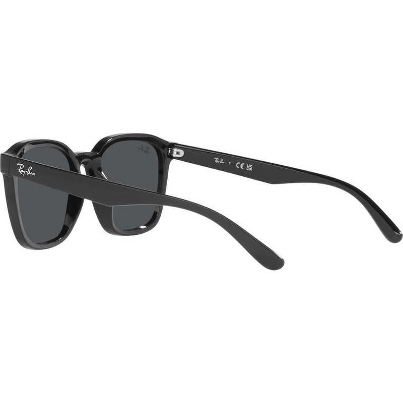 レイバン Ray-Ban サングラス RB4392D 601/87 66mm ブラック