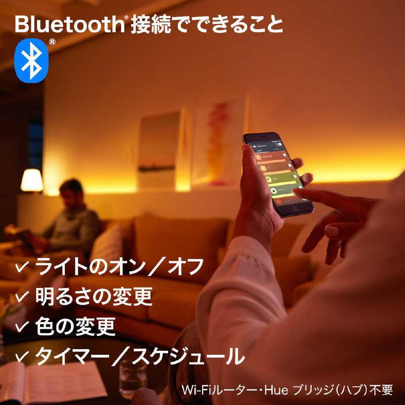 フィリップス　PHILIPS　PHILIPS HUE ホワイトグラデーション シングルランプ E17 2個セット　PLH66GW｜y-kojima｜02