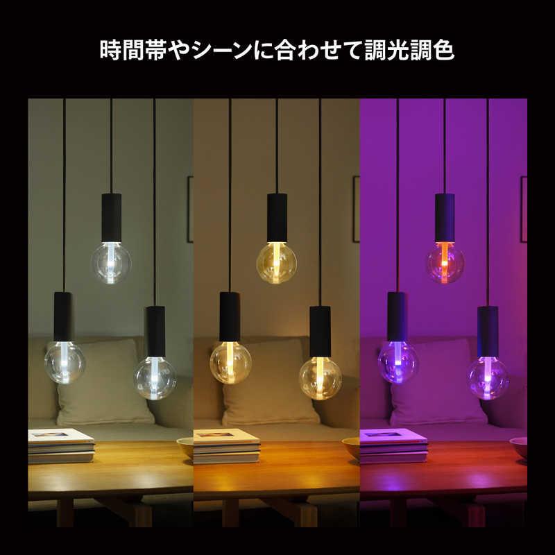 フィリップス PHILIPS Philips Hue ライトガイド E26 G125 ［E26 /一般電球形 /40W相当 /1個 /全方向タイプ］ PHLG-G12の画像