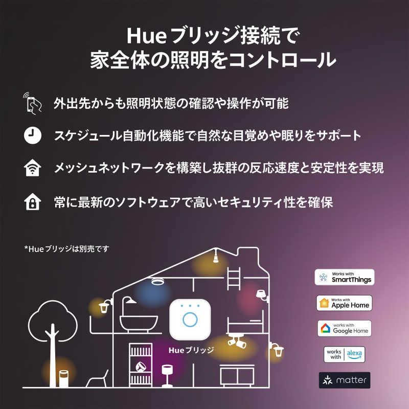 フィリップス PHILIPS Philips Hue ライトガイド E26 G125 ［E26 /一般電球形 /40W相当 /1個 /全方向タイプ］ PHLG-G12の画像