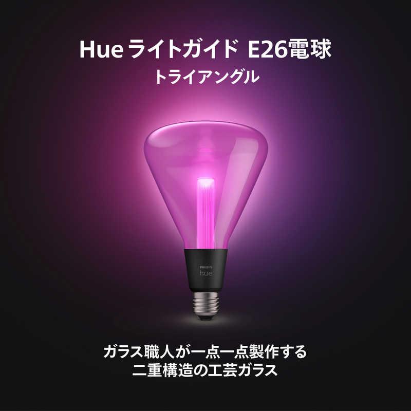 フィリップス PHILIPS Philips Hue ライトガイド E26 トライアングル ［E26 /ボール電球形 /40W相当 /1個 /全方向タイプ］ PHLG-TRIの画像