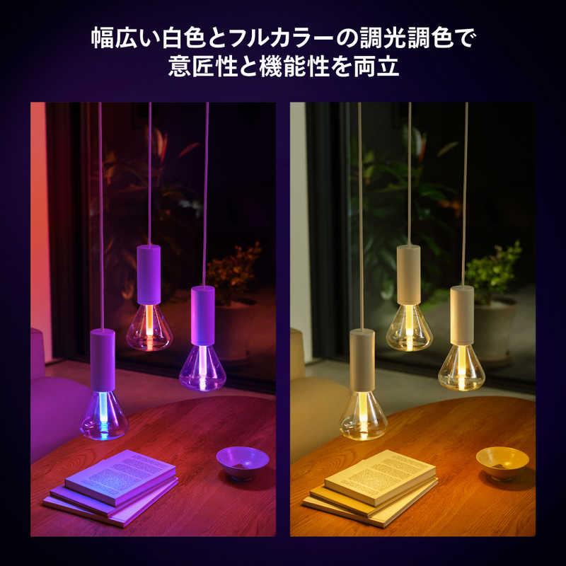 フィリップス PHILIPS Philips Hue ライトガイド E26 トライアングル ［E26 /ボール電球形 /40W相当 /1個 /全方向タイプ］ PHLG-TRIの画像