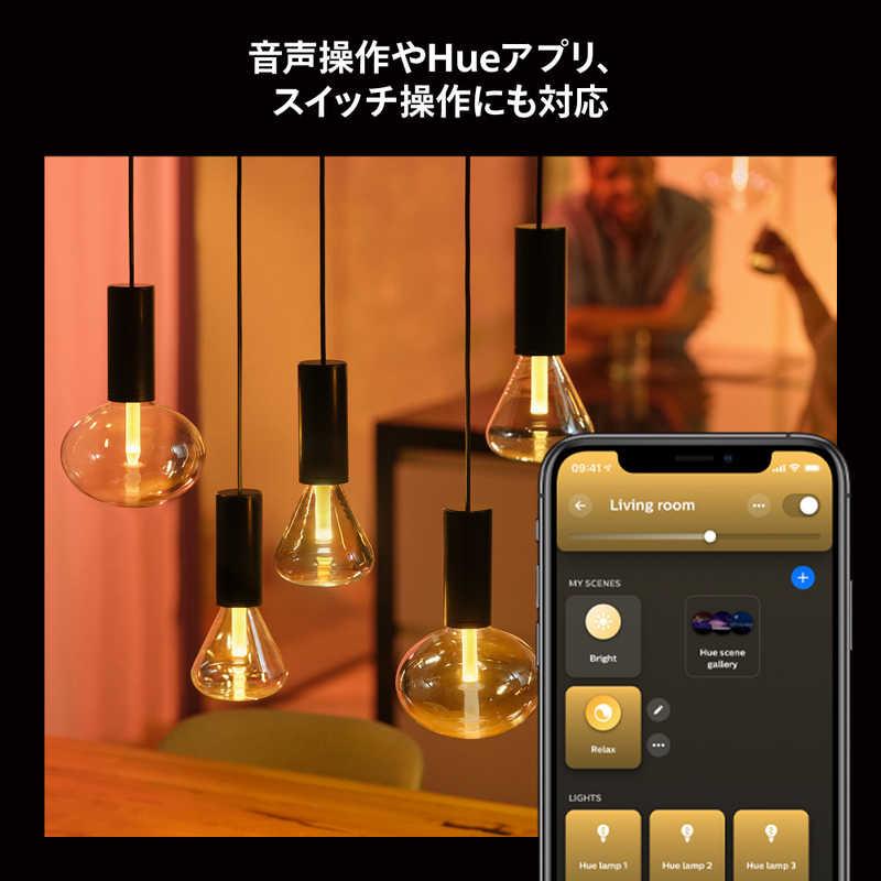 フィリップス PHILIPS Philips Hue ライトガイド E26 トライアングル ［E26 /ボール電球形 /40W相当 /1個 /全方向タイプ］ PHLG-TRIの画像