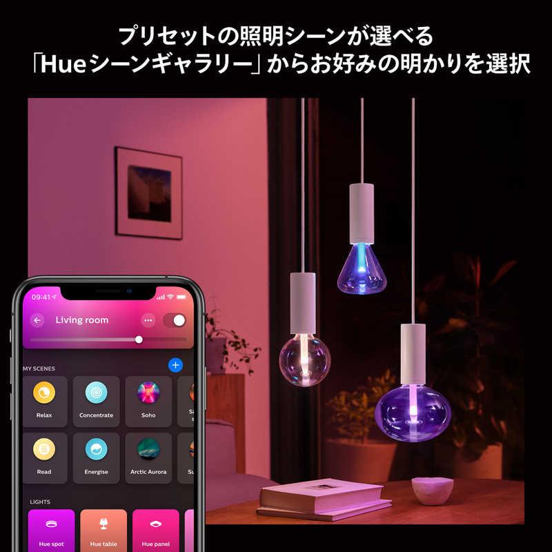 フィリップス PHILIPS Philips Hue ライトガイド E26 トライアングル ［E26 /ボール電球形 /40W相当 /1個 /全方向タイプ］ PHLG-TRIの画像