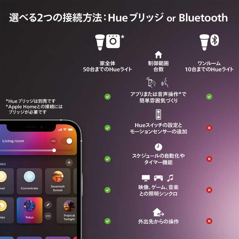 フィリップス PHILIPS Philips Hue Play ライトバー 2本セット PHBAR2